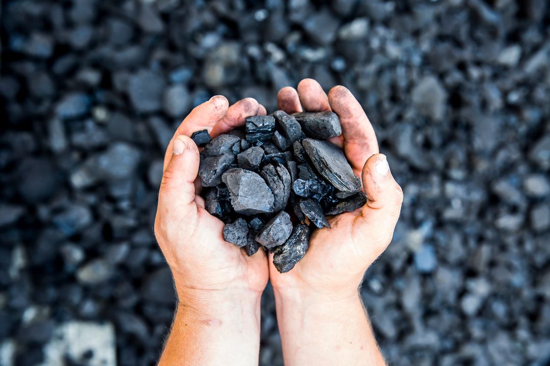 W tle węgiel, na pierwszym planie dwie dłonie trzymające garść węgla.